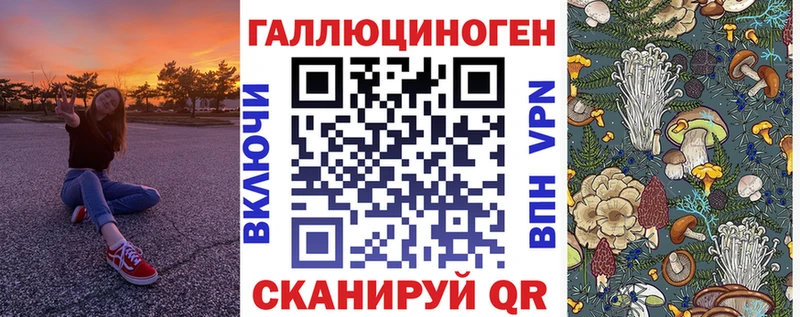 Купить где  Ершов  Галлюциногенные грибы мухоморы 